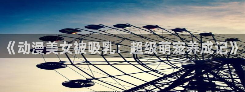 动漫岛动漫网