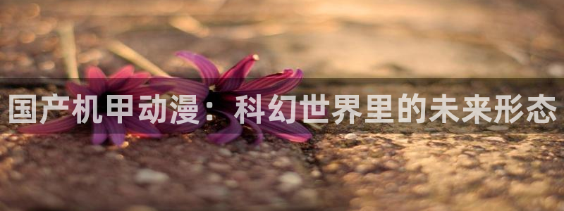 漫岛动漫app